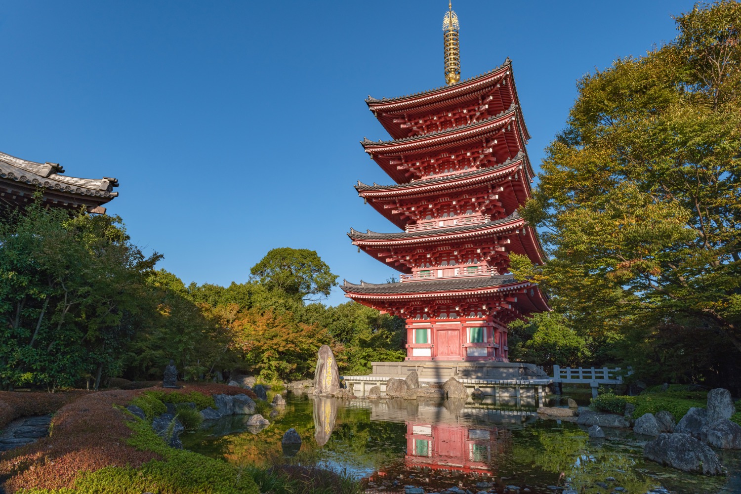 記事画像 「.いだてんの聖地を走る : 熊本・玉名をパーソナルモビリティで巡るスポーツと文学のまち旅」