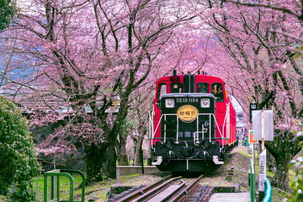 記事画像 「.嵯峨野トロッコ列車の魅力と、京都・嵐山に行ったら必ず乗りたい、おすすめ観光スポット」