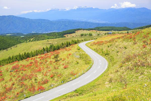記事画像 「.ビーナスライン 日本屈指のドライブ・ツーリングスポットで長野の絶景を楽しむ」