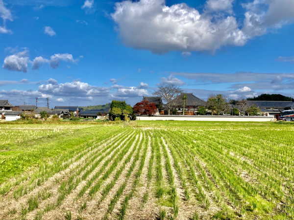 記事画像 「.京都からサイクリングで奈良県明日香村の美しい自然と史跡を満喫【サイクリストにも嬉しい】」