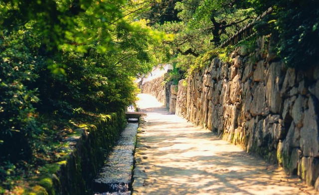坂本の町並み。自然石の石垣と清らかな水路が続く、緑に包まれた静かな小径の風景。