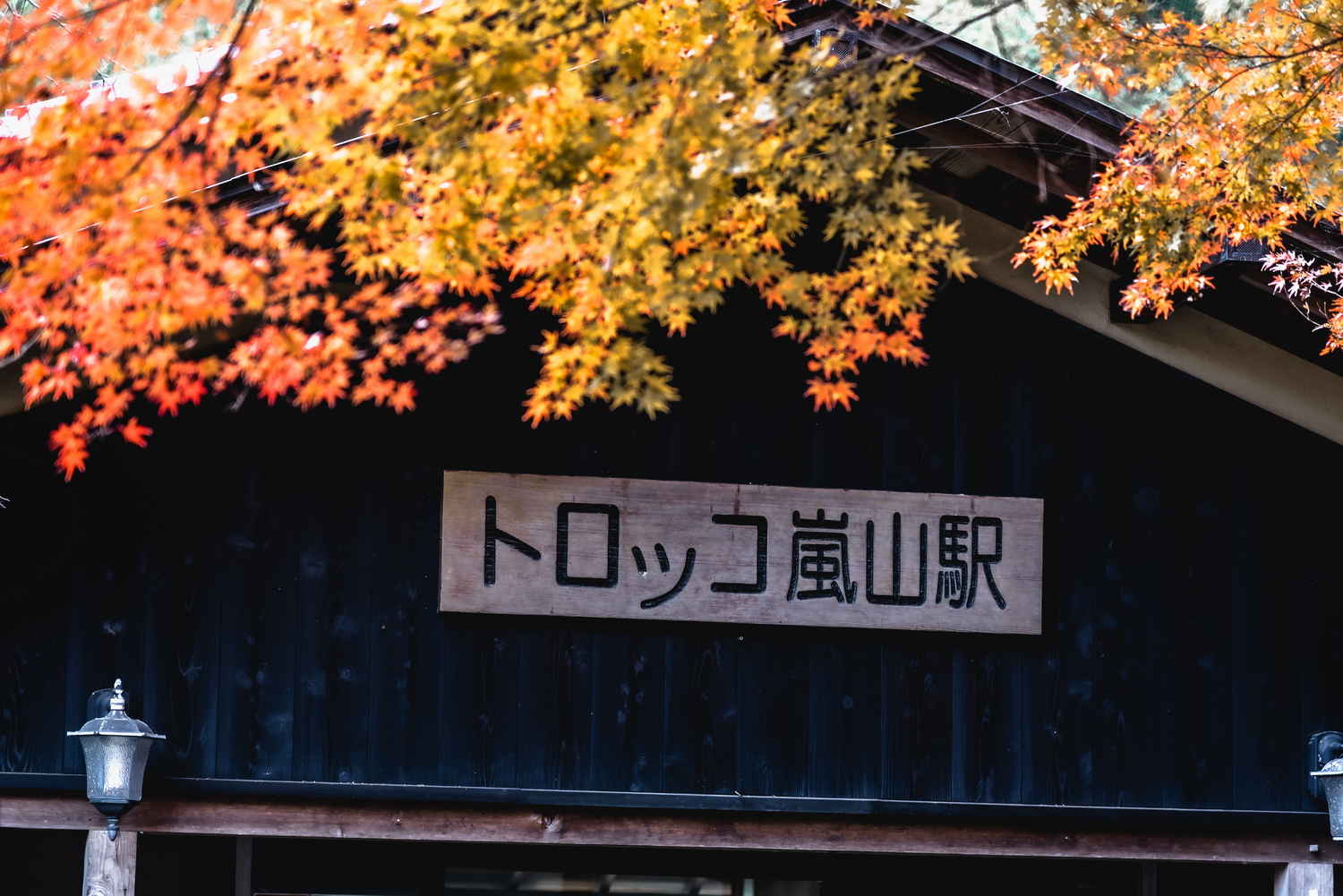 記事画像 「.」
