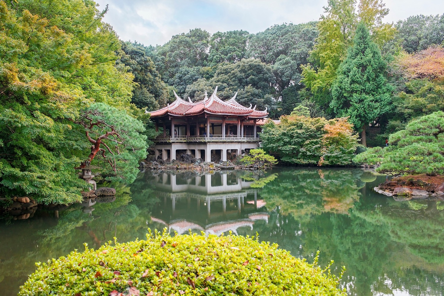 記事画像 「雨と光の新宿ライド パーソナルモビリティで巡る『言の葉の庭』聖地巡礼 ―新海誠監督が描いた「孤独と愛」の距離―」