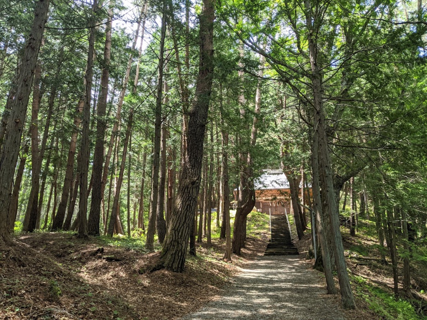 記事画像 「逃げ上手の若君の聖地・諏訪をE-bike で巡礼 ― 鎌倉末期を駆けた若き英雄・北条時行、その優しさを育んだ神の地へ」