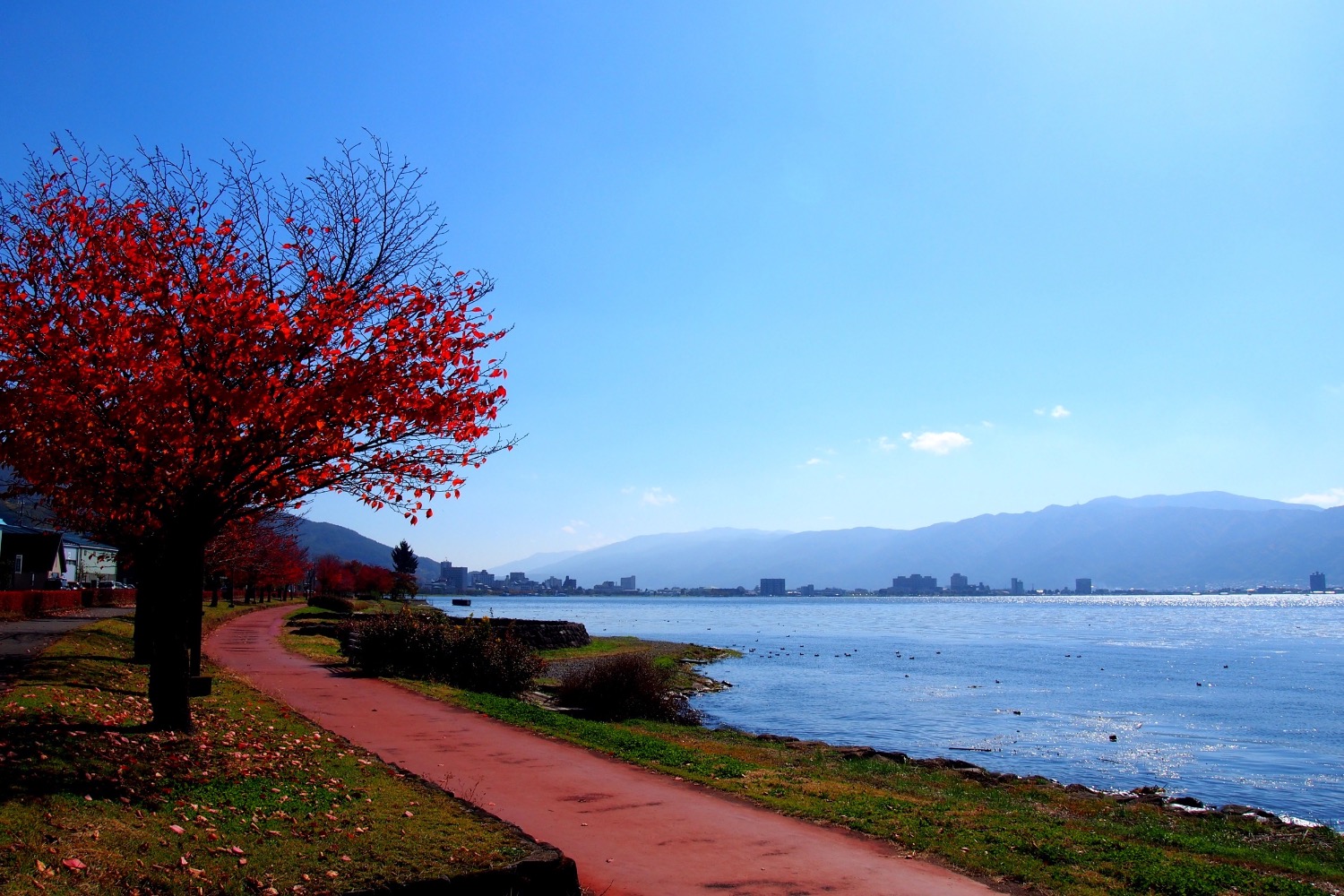 記事画像 「逃げ上手の若君の聖地・諏訪をE-bike で巡礼 ― 鎌倉末期を駆けた若き英雄・北条時行、その優しさを育んだ神の地へ」