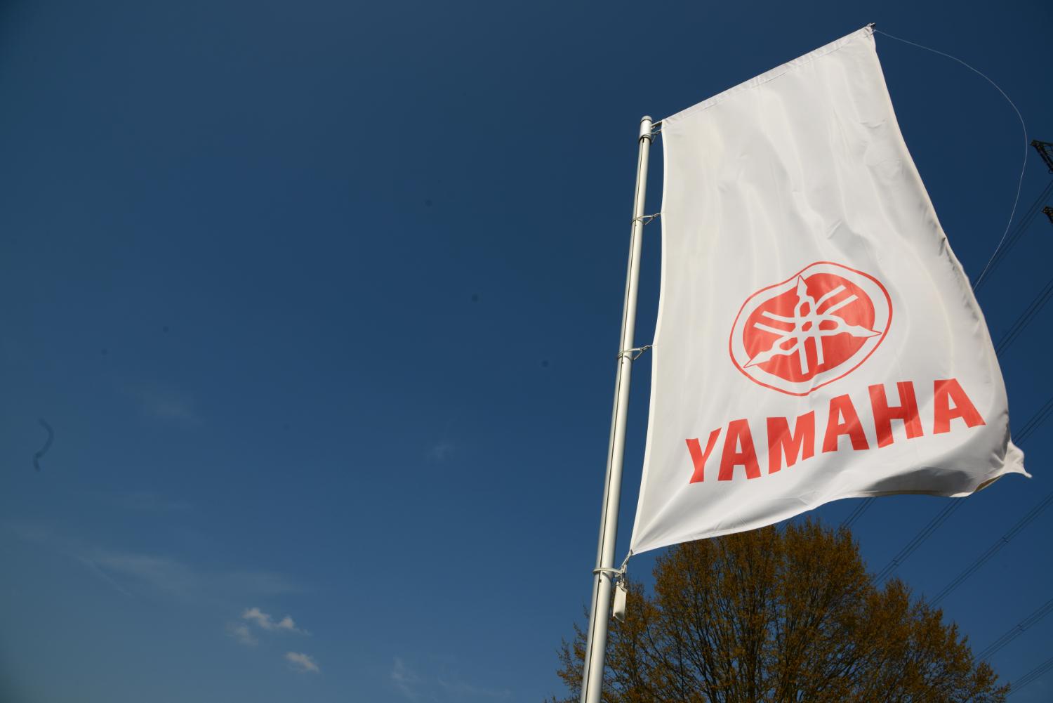 記事画像 「子育て中のママ・パパにおすすめの、送迎に欠かせない電動アシスト付き自転車の選び方」