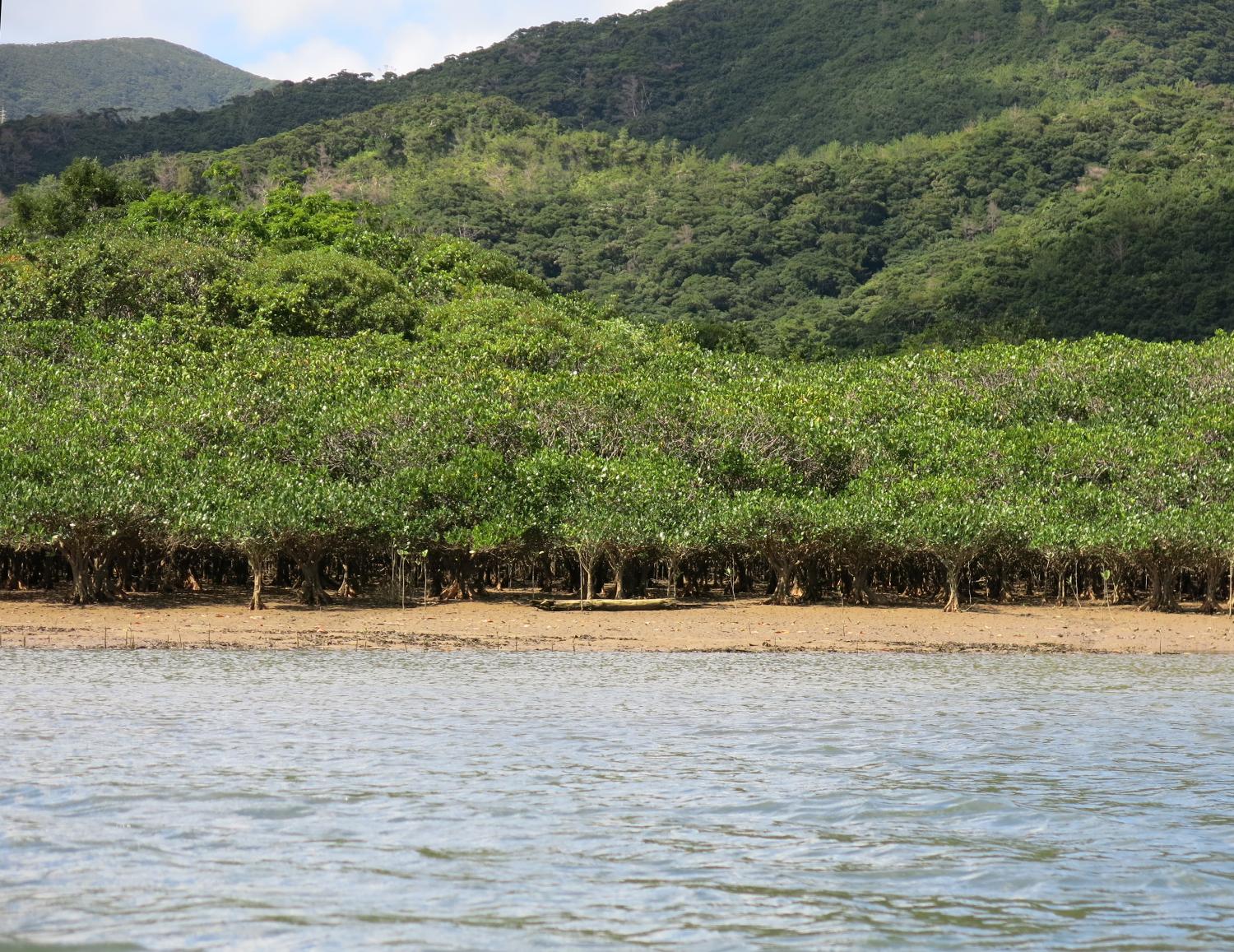 記事画像 「電動パーソナルモビリティの生みの親、セグウェイ。生産終了～次世代スマートモビリティへの進化を紐解く」