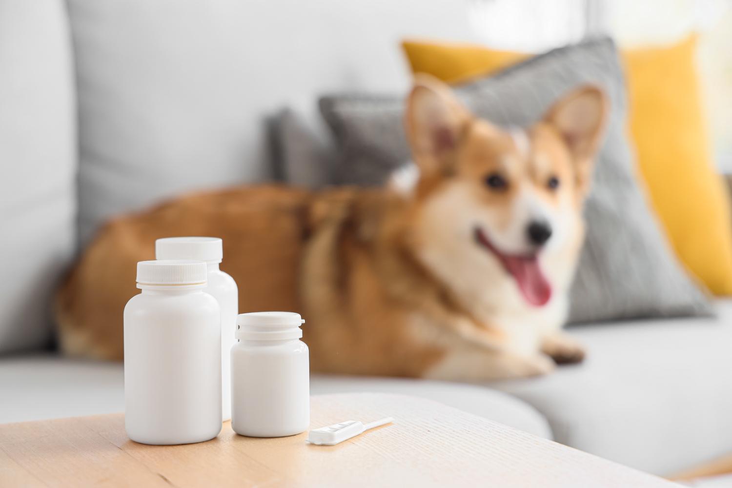 記事画像 「「ウーブン・シティ」を取り巻く協賛企業の街づくりとは？実例や詳細を解説！」