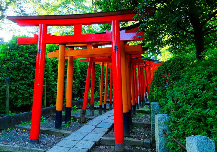 根津神社の境内に連なる鮮やかな赤い鳥居と、周囲の豊かな緑の風景