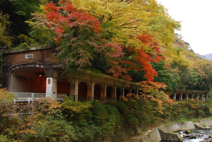 箱根町の重要文化財・函嶺洞門。秋の紅葉に囲まれたトンネルの外観。