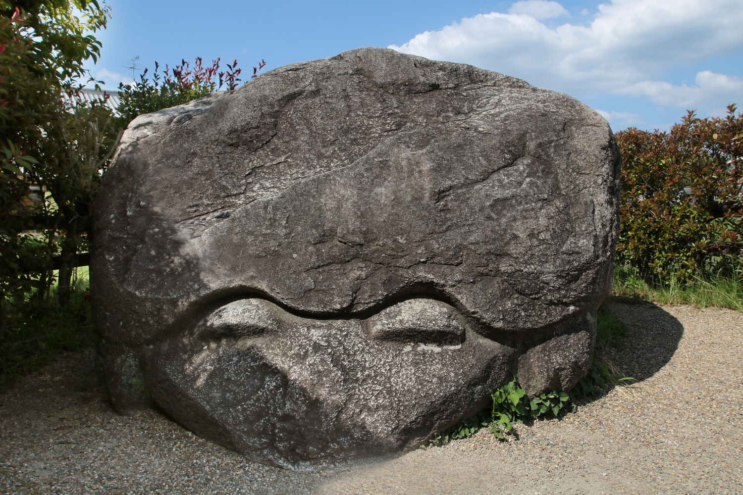 記事画像 「.」